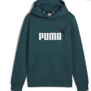 Puma Essentials 2 Logo Hoodie